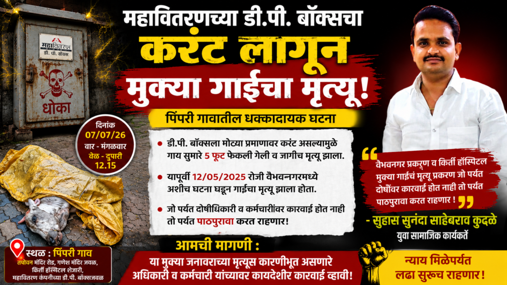 महावितरणच्या डी.पी. बॉक्सचा करंट लागून मुक्या गाईचा मृत्यू; दोषींवर कारवाईची मागणी